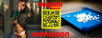 стаф Гатчина