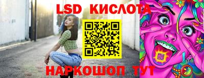 стаф Гатчина