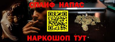 стаф Гатчина