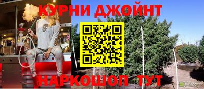 стаф Гатчина