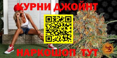 индика Гагарин