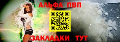 стаф Гатчина