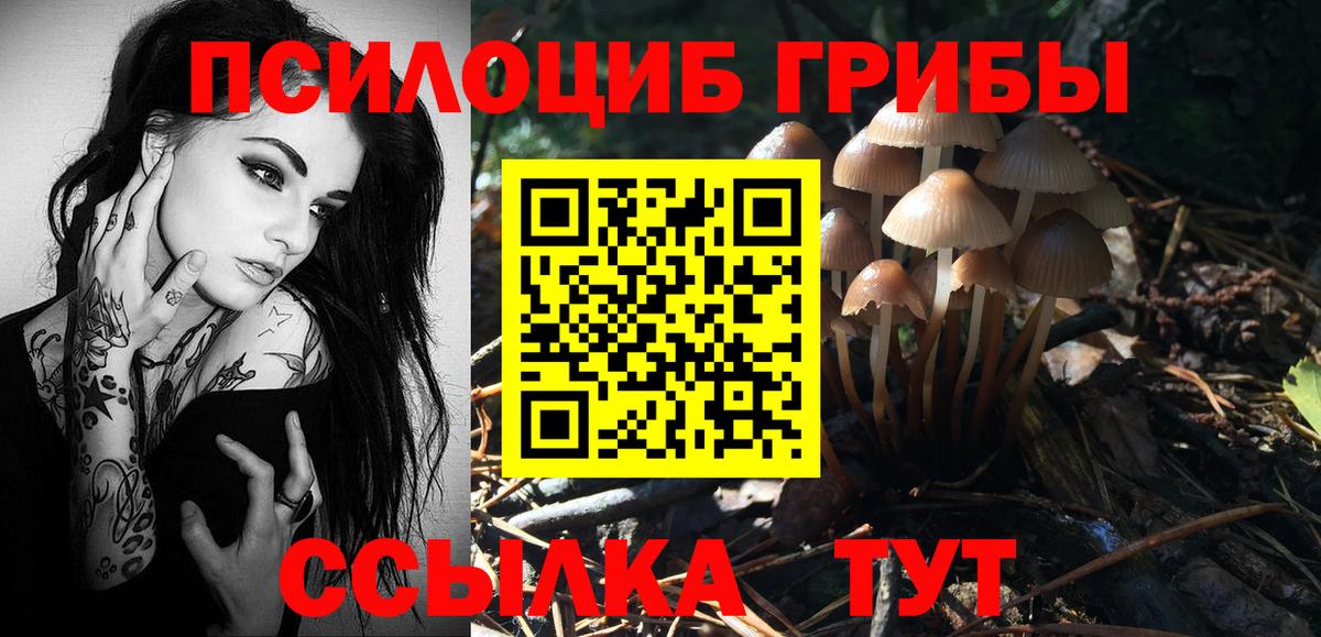 Галлюциногенные грибы MAGIC MUSHROOMS  Вход с VPN  Саяногорск 